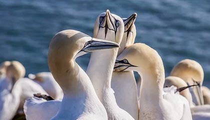 kaiyun：云端生活的全新提案